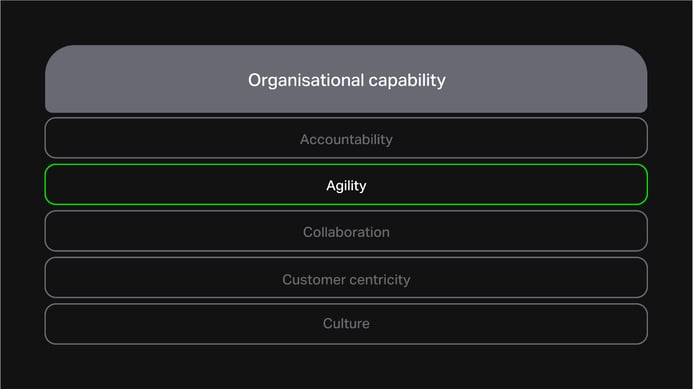 A single-column table with 'organisational capability' at the top and 'agility' highlighted in a row below