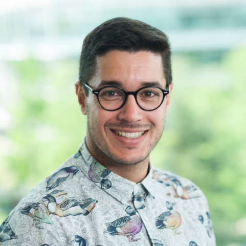 Ricardo Guimaraes